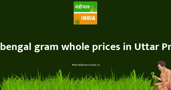 bengal gram whole price